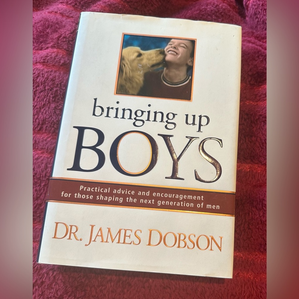 Bringing up boys book
